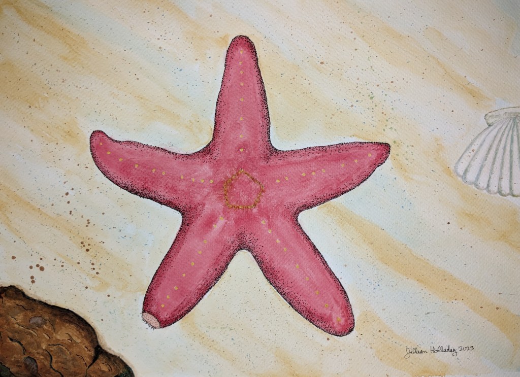 A red starfish lying on the sand in shallow water