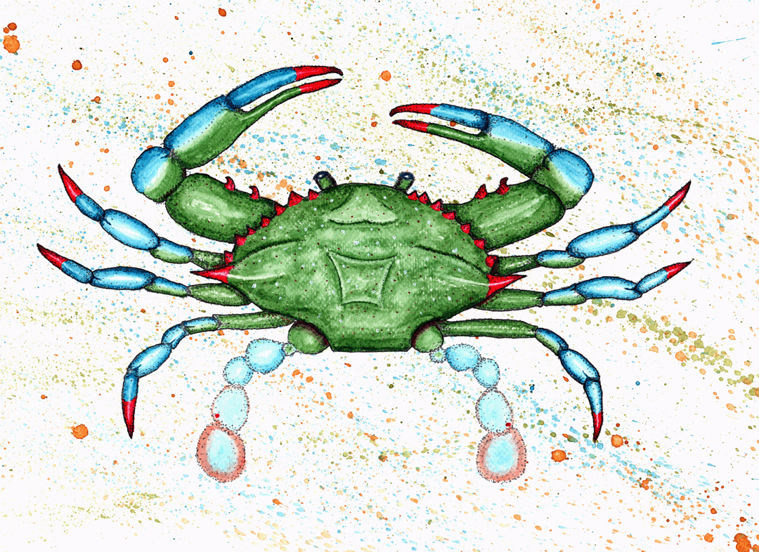 Coastal Art by Jillian